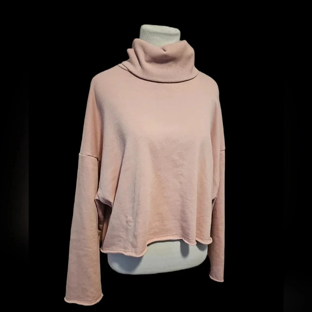 American eagle oversized cropped turtleneck
